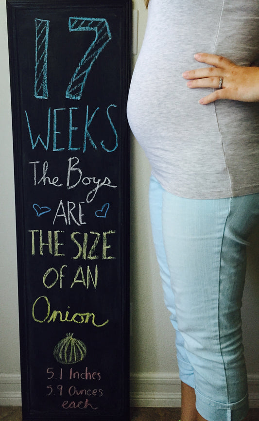 Twins | 17 Week Bumpdate