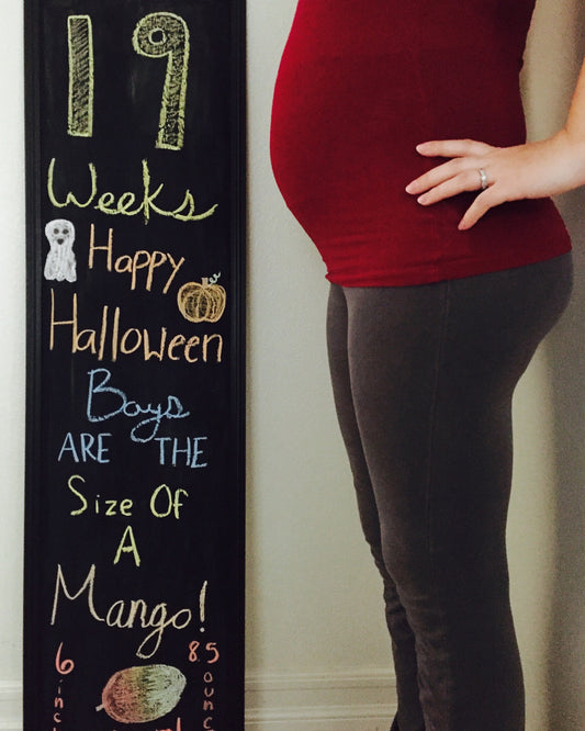 Twins | 19 Week Bumpdate