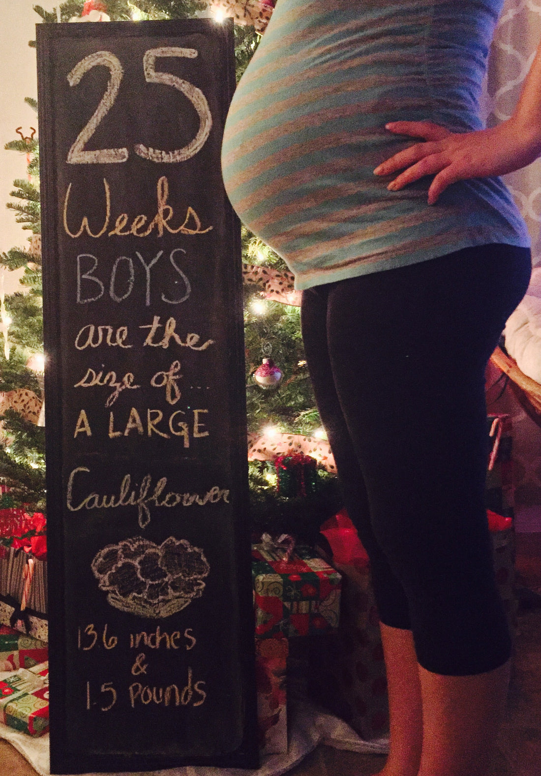 Twins | 25 Week Bumpdate