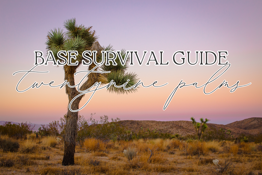 Base Survival Guide Series: MCAGCC Twentynine Palms