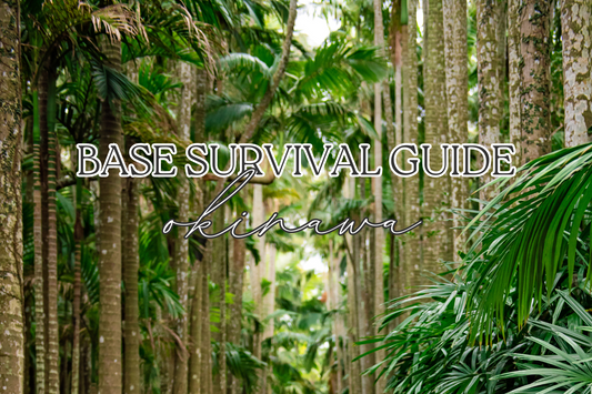 Base Survival Guide Series: MCB Camp Butler (Okinawa)