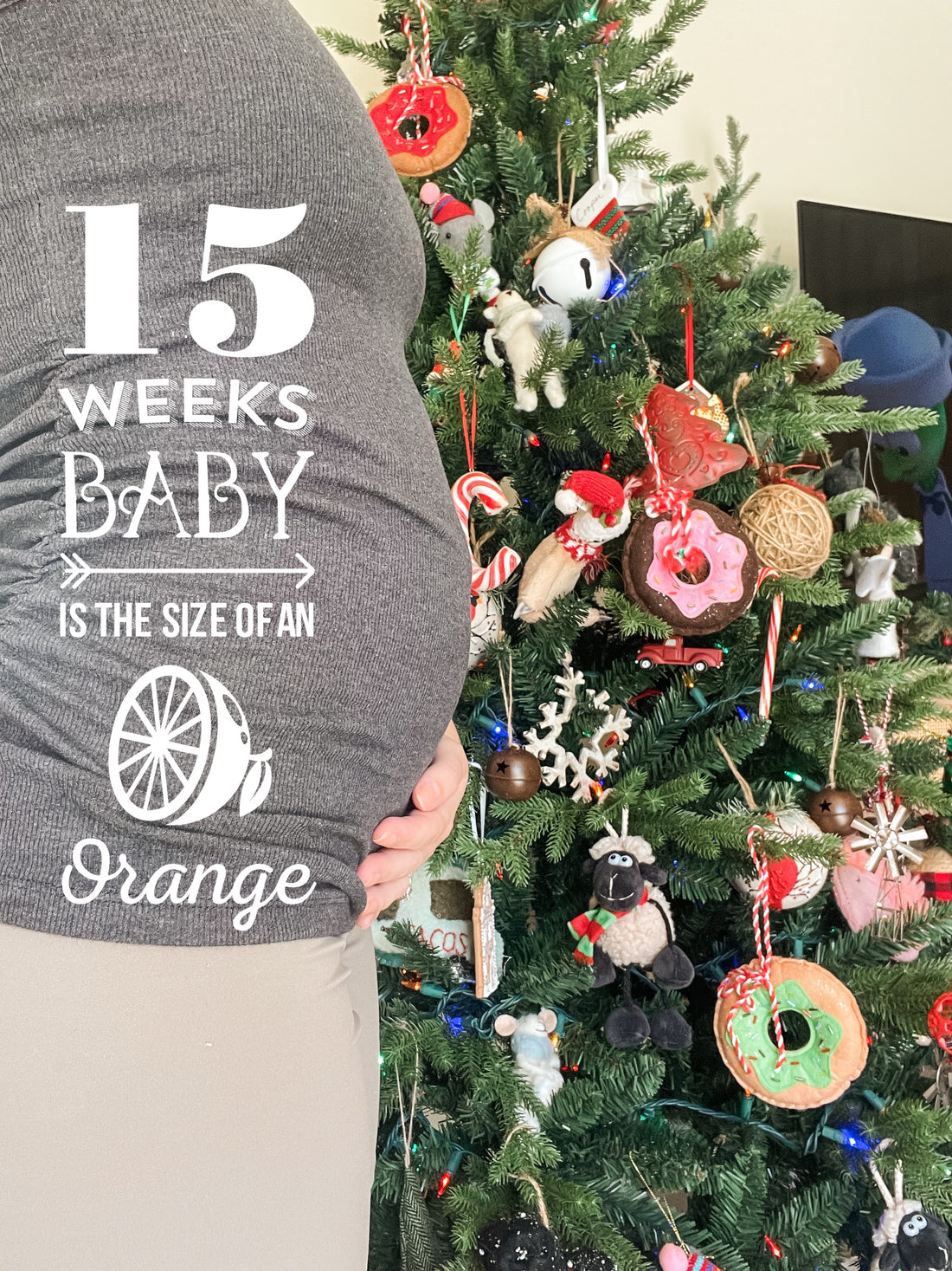 Bumpdate | 14/15 Weeks