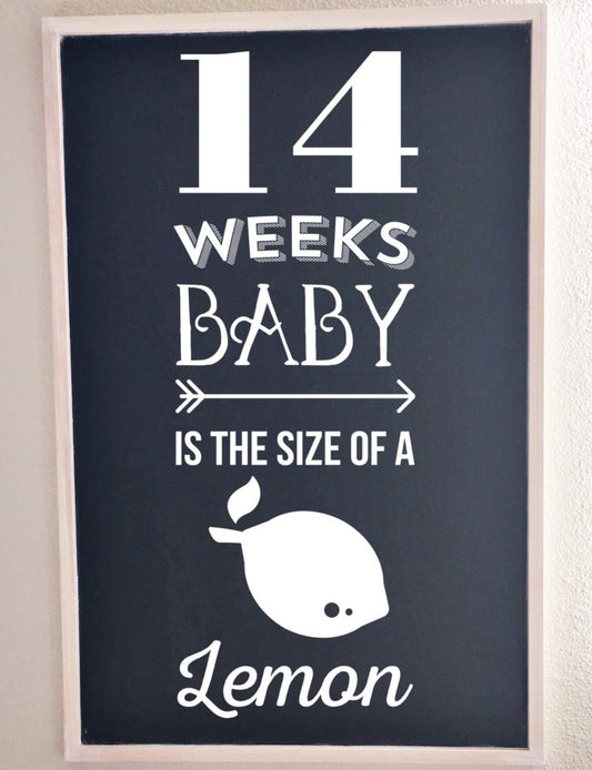 Bumpdate | 14 Weeks