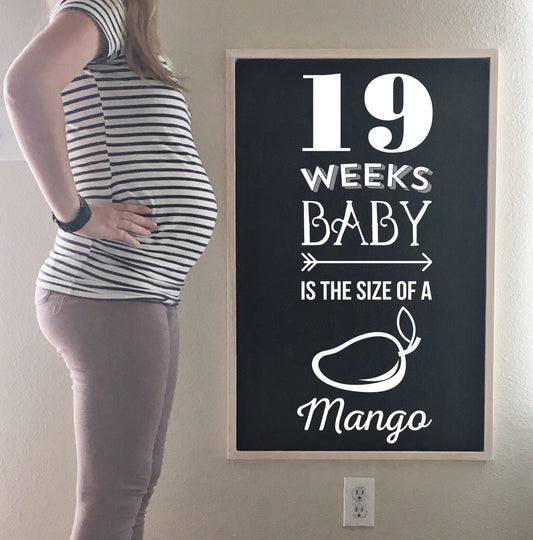 Bumpdate | 19 Weeks