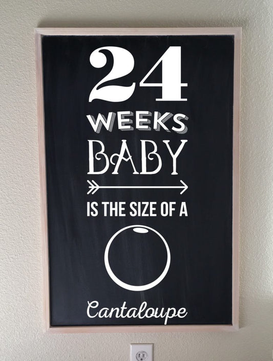 Bumpdate | 24 Weeks