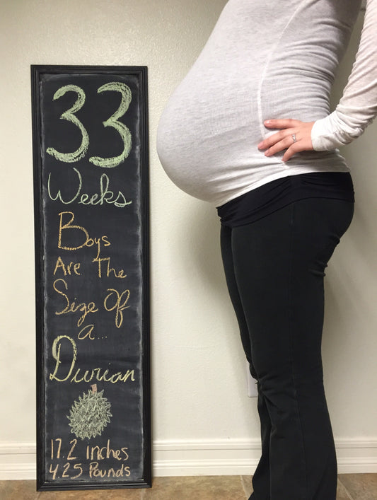 Twins | 33 Week Bumpdate