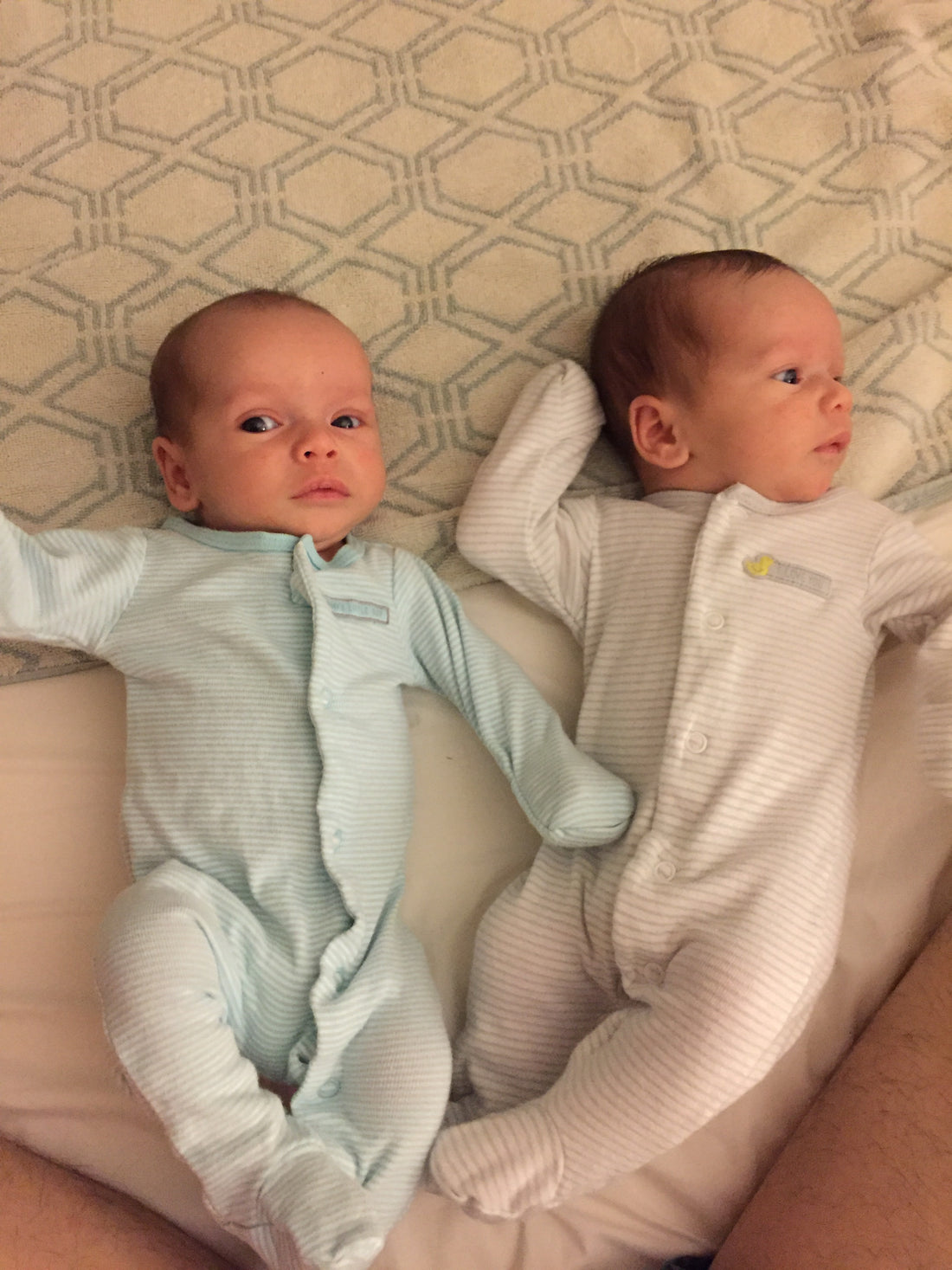 Twins | 6 Week Update